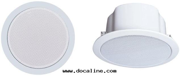 IP天(tiān)花(huā)喇叭