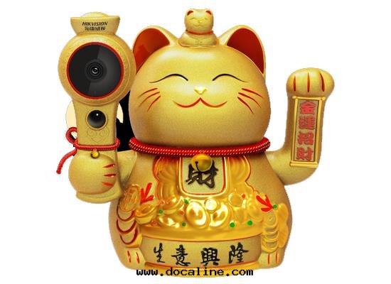 無線(xiàn) DS-IPC-E52H-IWT