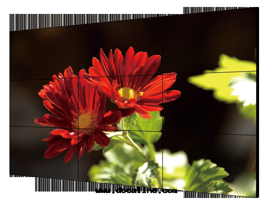 LCD顯示單元(yuán) DS-D2049NL-B