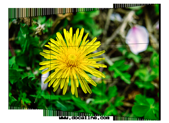 LCD顯示單元(yuán)  DS-D2055NL-B